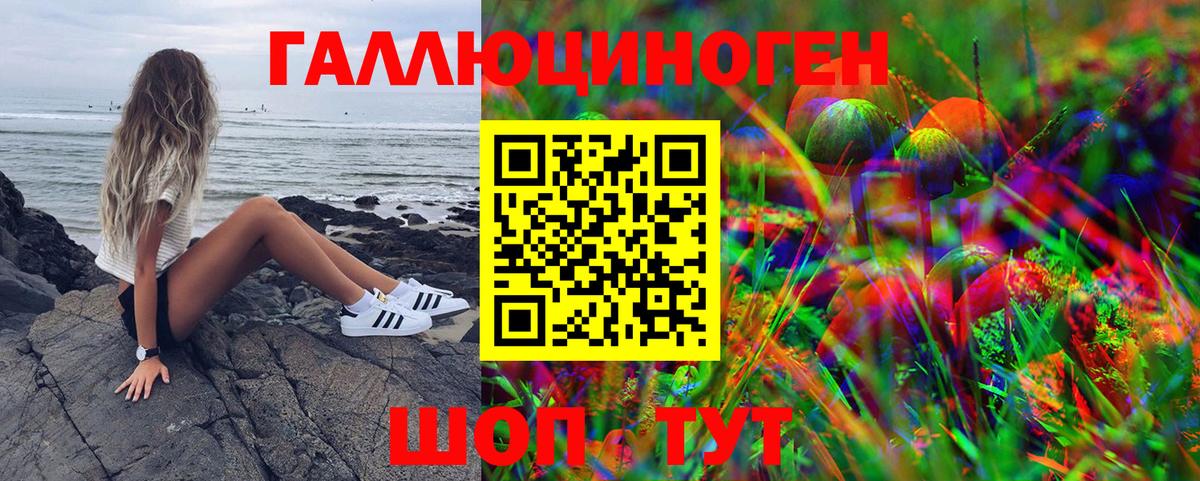 Галлюциногенные грибы GOLDEN TEACHER Балахна