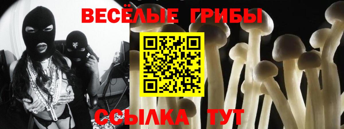 Балахна  Псилоцибиновые грибы GOLDEN TEACHER  Вход с VPN 
